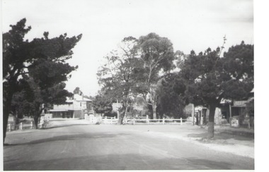 Photograph, Rosa McCall, Old Broadmeadows Township, 1949