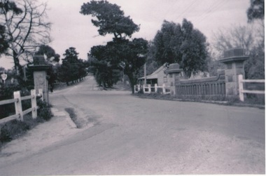Photograph, Rosa McCall, Old Broadmeadows Township, 1949