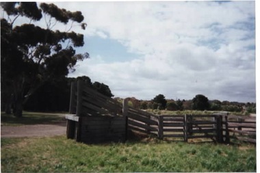 Photograph, Rosa McCall, 2001
