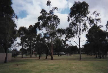 Photograph, Rosa McCall, 2001