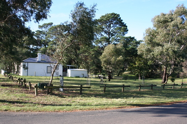 Photograph, Rosa McCall, 2011