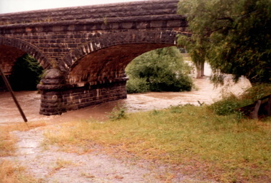 Photograph, Marilyn Bray, 17th December 1985