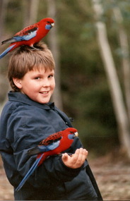 Photograph, August 1988