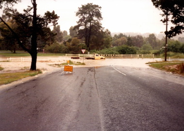 Photograph, Marilyn Bray, 17th December 1985