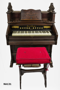 Organ
