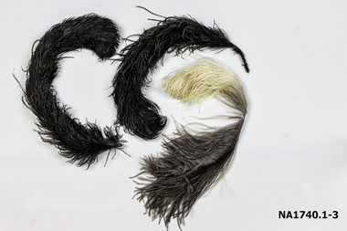 Three ostrich feathers - 2 black and 1 Grey and white.