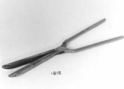 Metal tongs with two prongs 