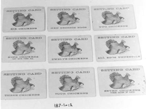 12 fowl cards