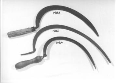 Long curved sharpened steel blade 