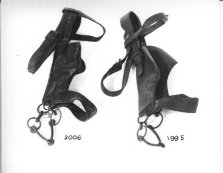 Leather bridle for a horse.