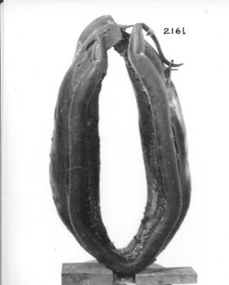 Large stuffed black leather