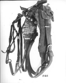 Buggy harness with collar. 