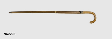Walking Stick/Umbrella.