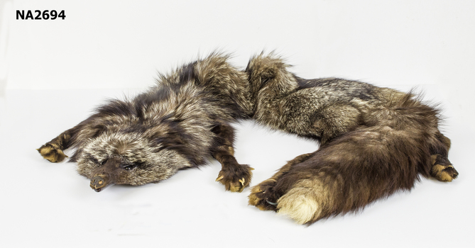Fox fur