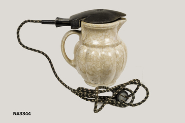 Electric jug