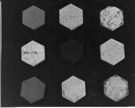 Nine Hexagon shaped tiles, possibly used in border.
