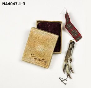 Bird claw with safety chain & clasp attached. Claw is set in Stirling silver band with yellow stone. 