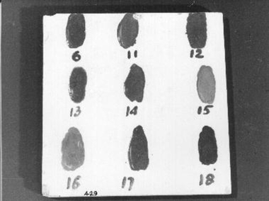 Plain ceramic tile used for brown coloured glazes numbered 6,11,12,13,14,15,16,17,18