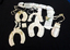 Horseshoes, slipper and orange blossom