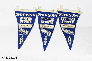 Banner - Pennant - School Sports, c. 1981