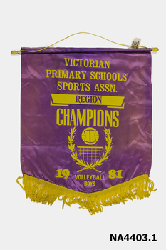 Sporting Banner - Vic prikmary Schools