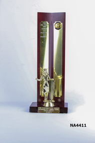 Award - Trophy