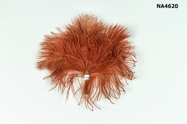 Accessory - Feather Accessory