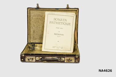 Leather Musical Case .
