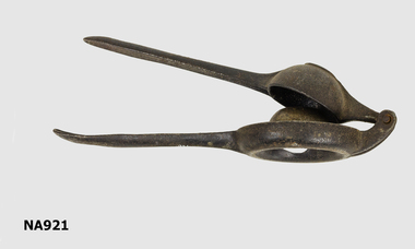 Lemon Squeezer