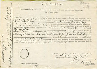Document, August Schwerkolt, 31/01/1853