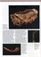Illustrated booklet describing Aboriginal life from pre-contact times to the present day