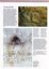 Illustrated booklet describing Aboriginal life from pre-contact times to the present day