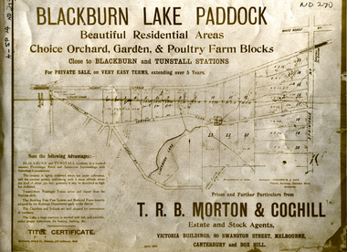 Document, Blackburn Lake Paddock