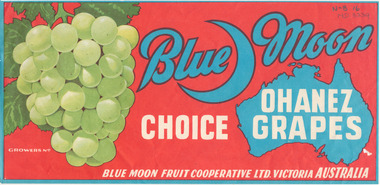 Pamphlet - Illustration, Blue Moon Choice Ohanez Grapes