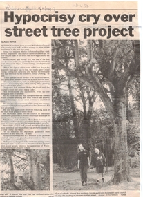 Article, Trees, 2/04/1997 12:00:00 AM