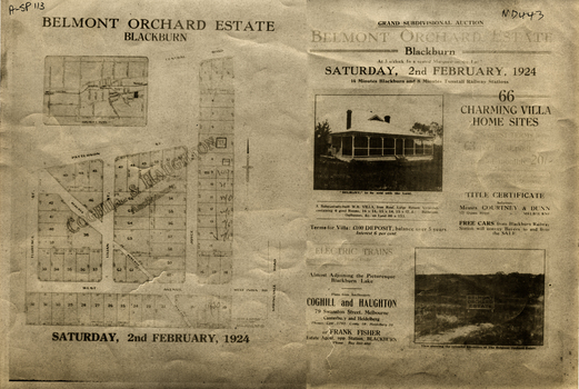 Brochure for auction of Belmont Orchard Estate, Blackburn