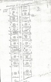 Document, Metropolitan Avenue, n.d