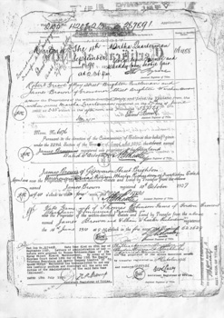 Details of the transfers