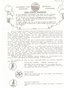 Information sheet about plants used by the local Wurundjeri tribe