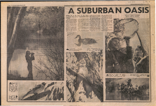 A suburban oasis - Blackburn Lake.
