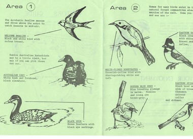 Pamphlet, Blackburn Lake Sanctuary information, 1988