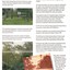  Sympathetic treatment of creek banks and preservation and regeneration of bushland will encourage wildlife. Page 1