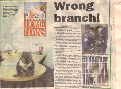 Article from Nunawading Gazette, 9 August 1995 by Greg Best 