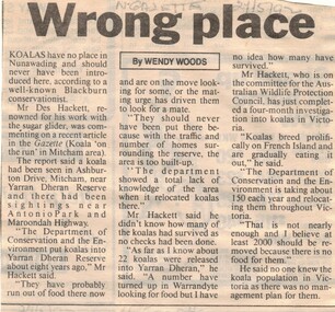 Article from Nunawading Gazette 21 May 1992 by Wendy Woods on koalas in Ashburton Drive, Mitcham