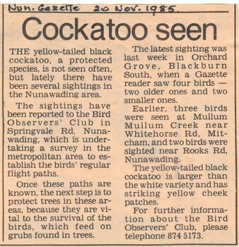 Article from Nunawading Gazette, 20 November 1985 