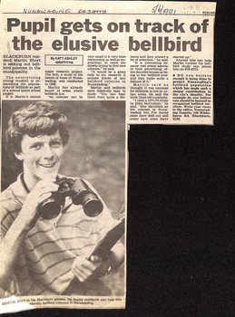 researching the elusive bellbird 