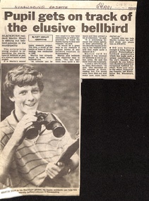 researching the elusive bellbird 