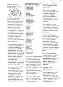 Document, BOCA Project - birds and seaweed, 1996