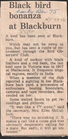 Article, Koel, 1/12/1975 12:00:00 AM