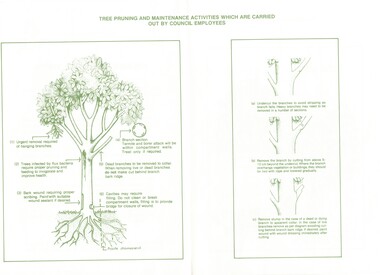 Pamphlet, Pruning of street trees, n.d